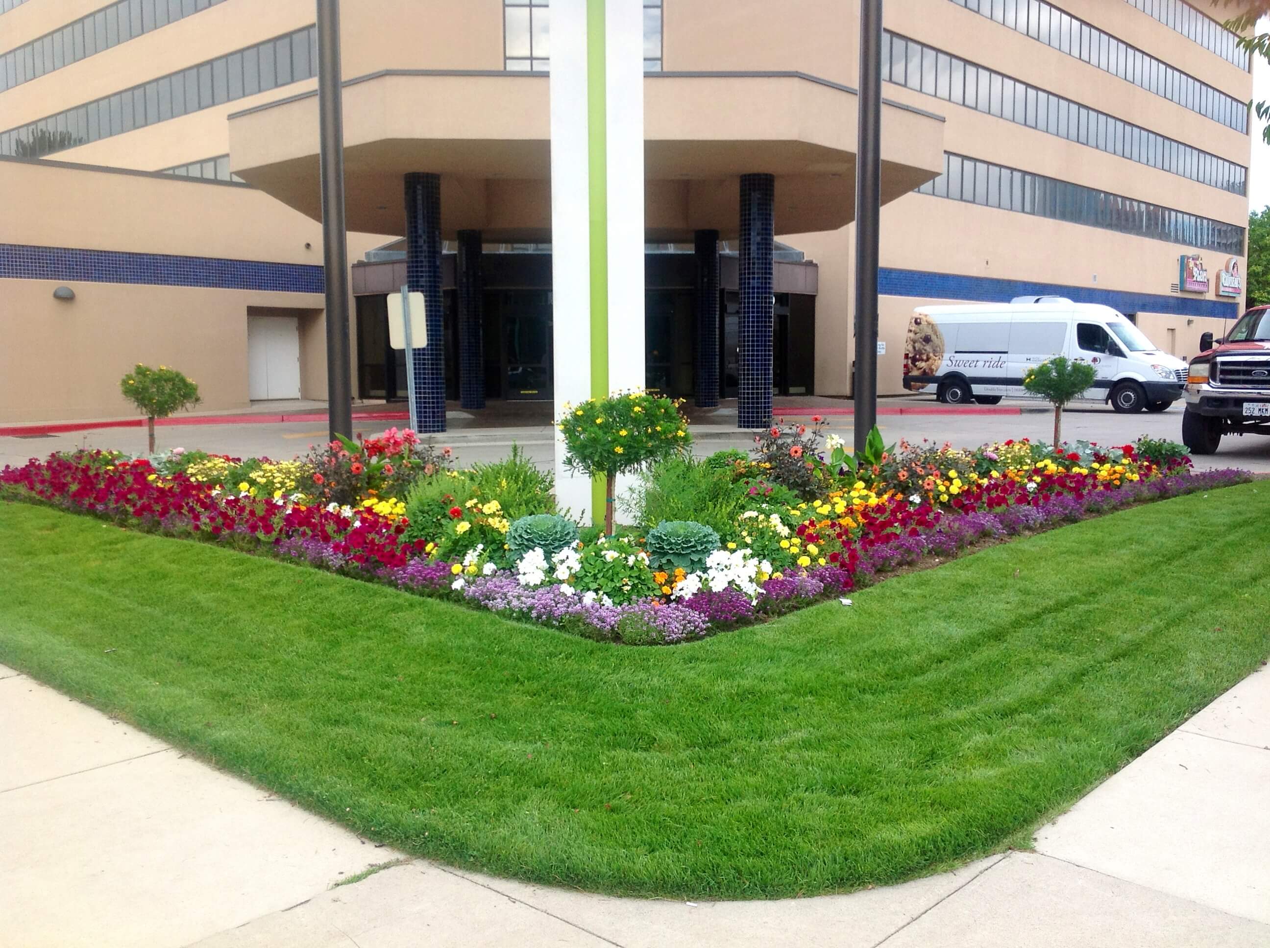 Office Frontage Planting