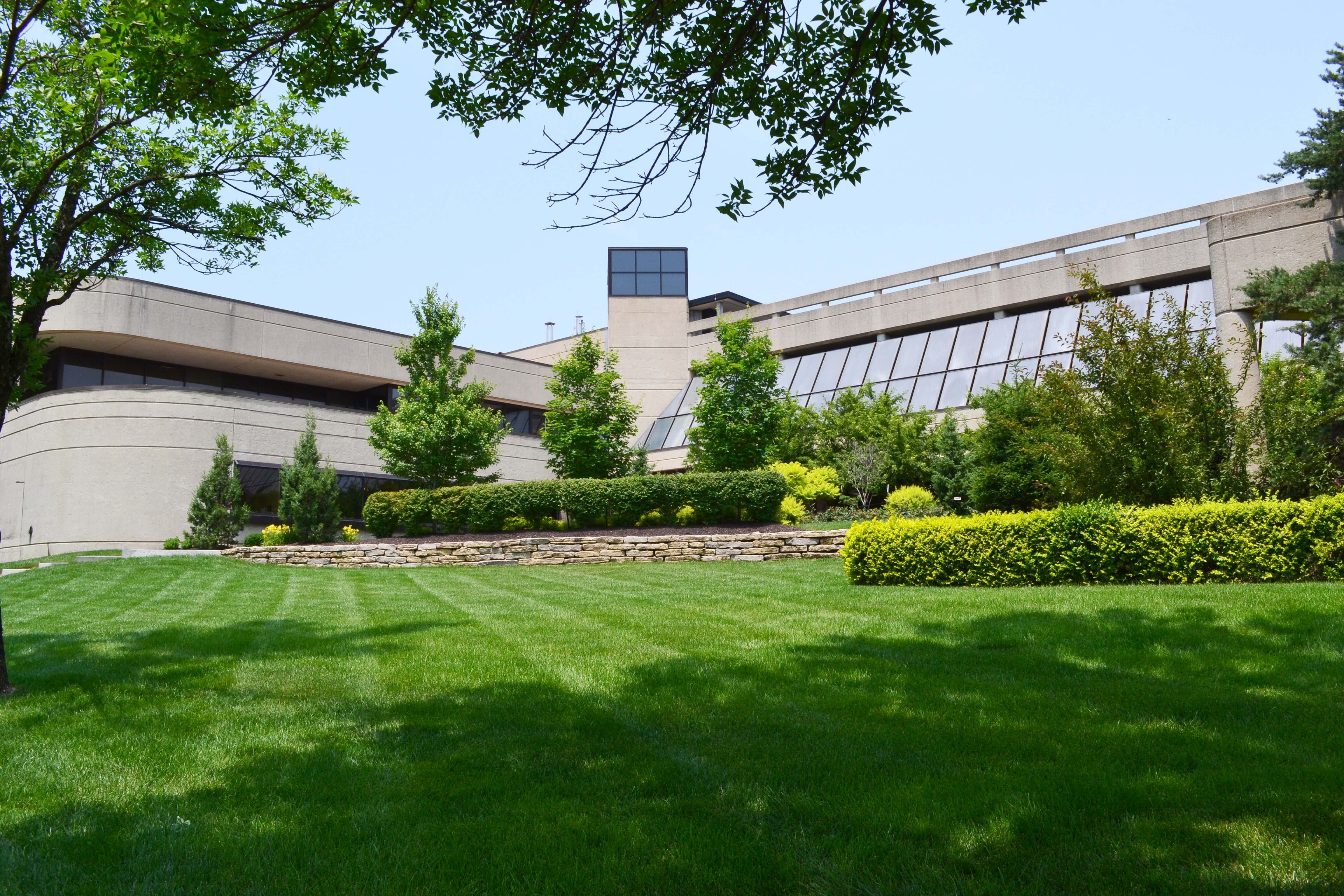 Corporate Campus Grounds