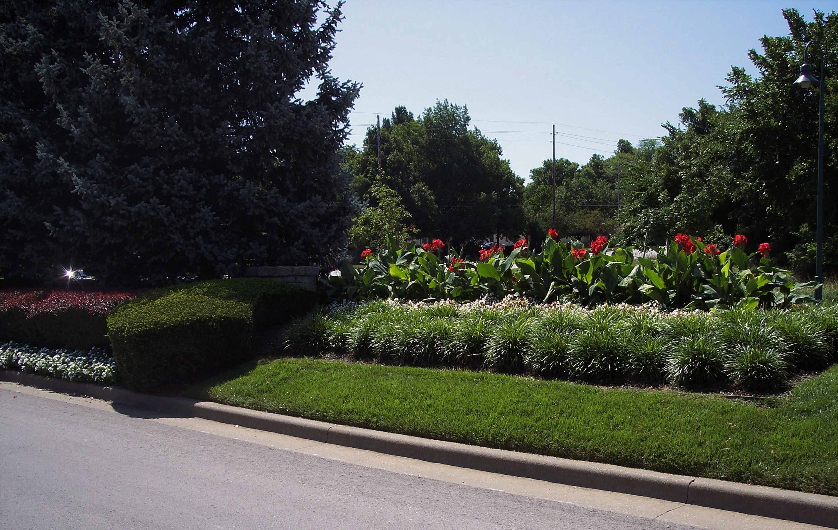 Boulevard Median Planting