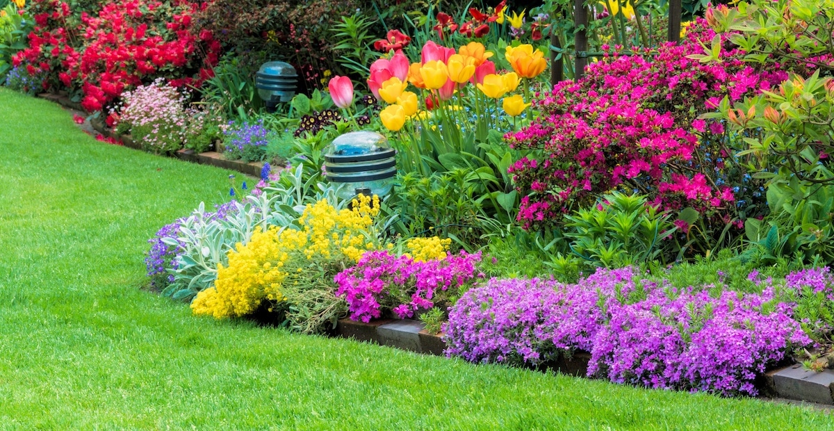 Irrigation System IV