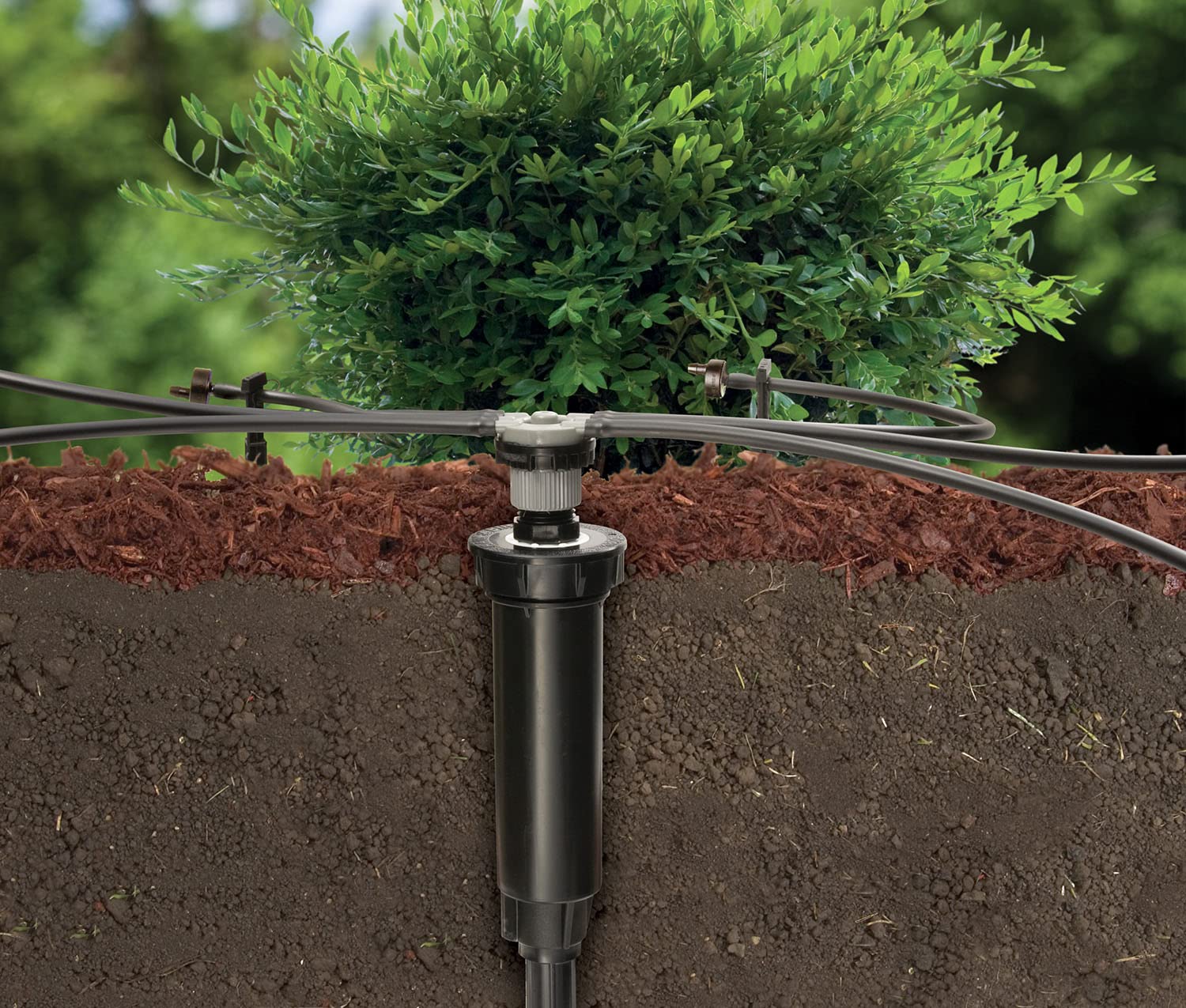 Irrigation System II
