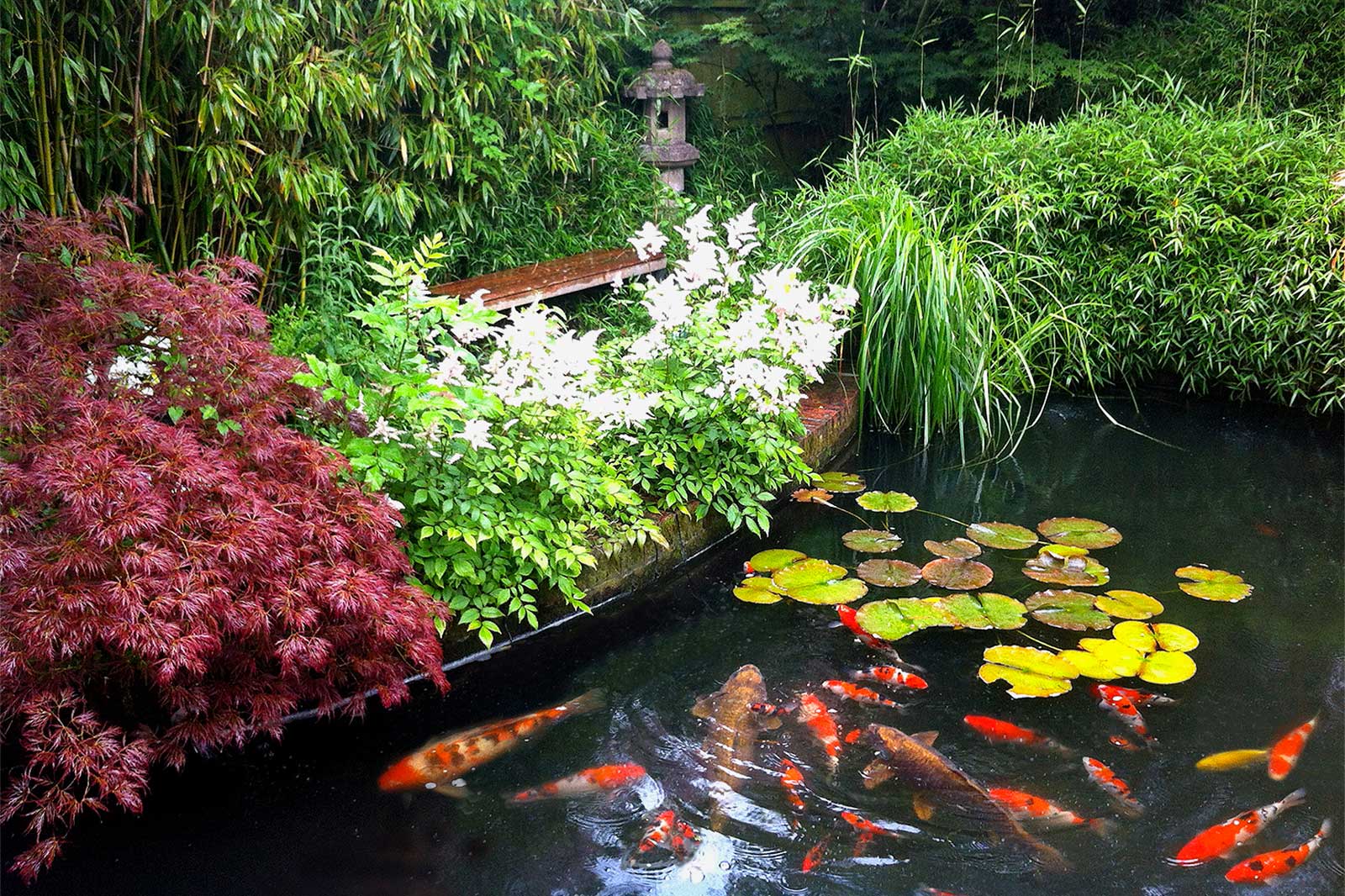 Water Features