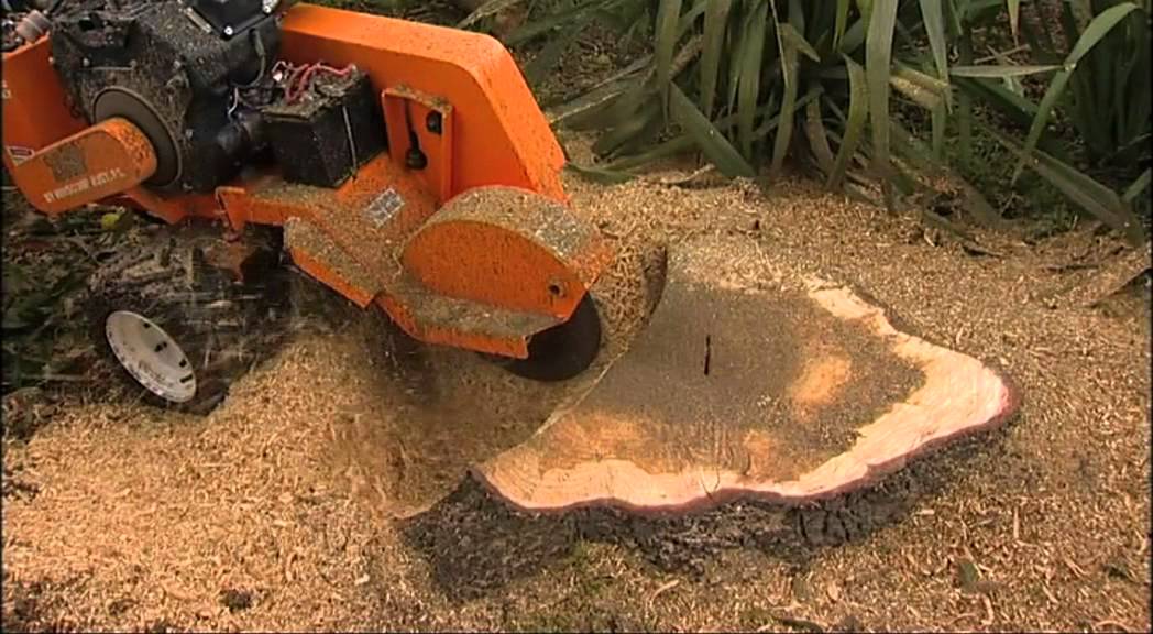 Stump Removal