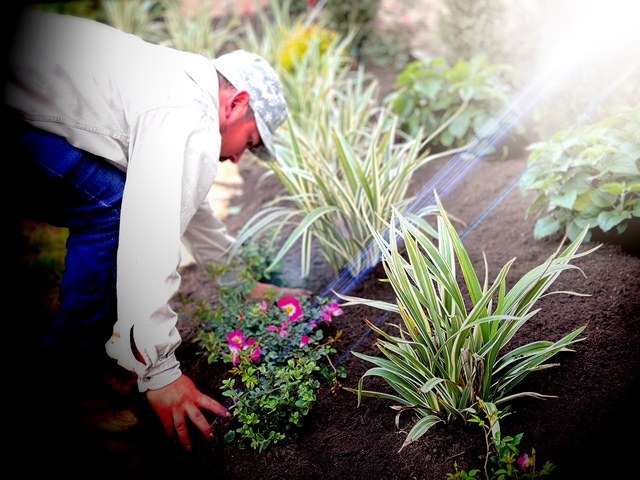 Front-Yard Xeriscape Planting & Planted Beds V in Conroe, TX