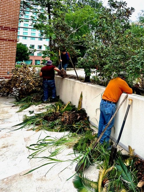 Woodland Retaining Wall & Planted Beds in The Woodlands, TX