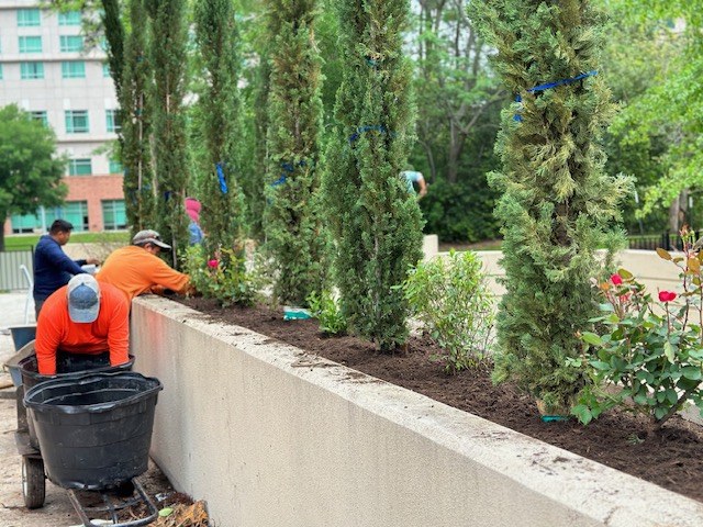 Woodland Retaining Wall & Planted Beds III in The Woodlands, TX
