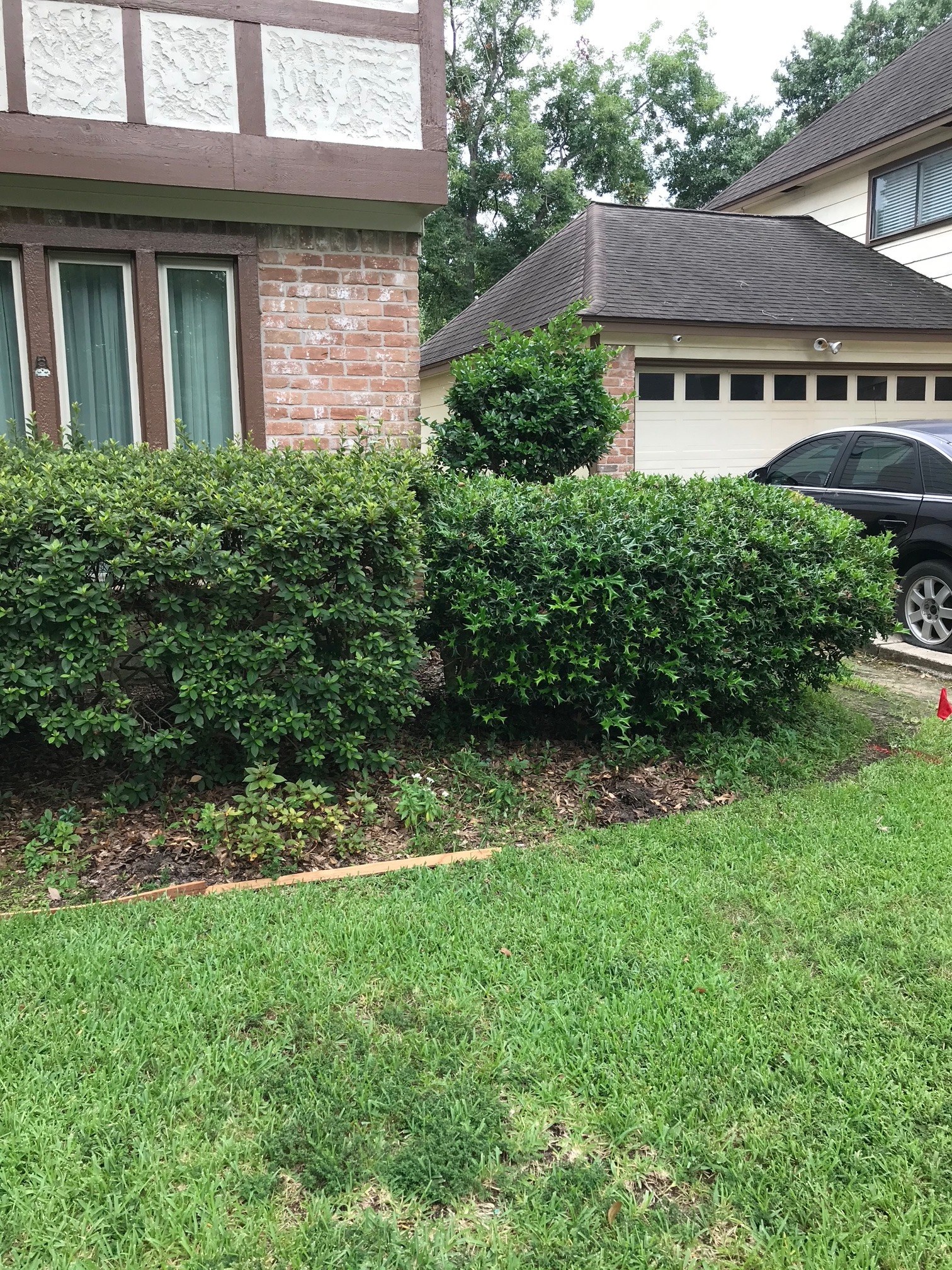 Front-Yard Planted Beds VI in Spring, TX