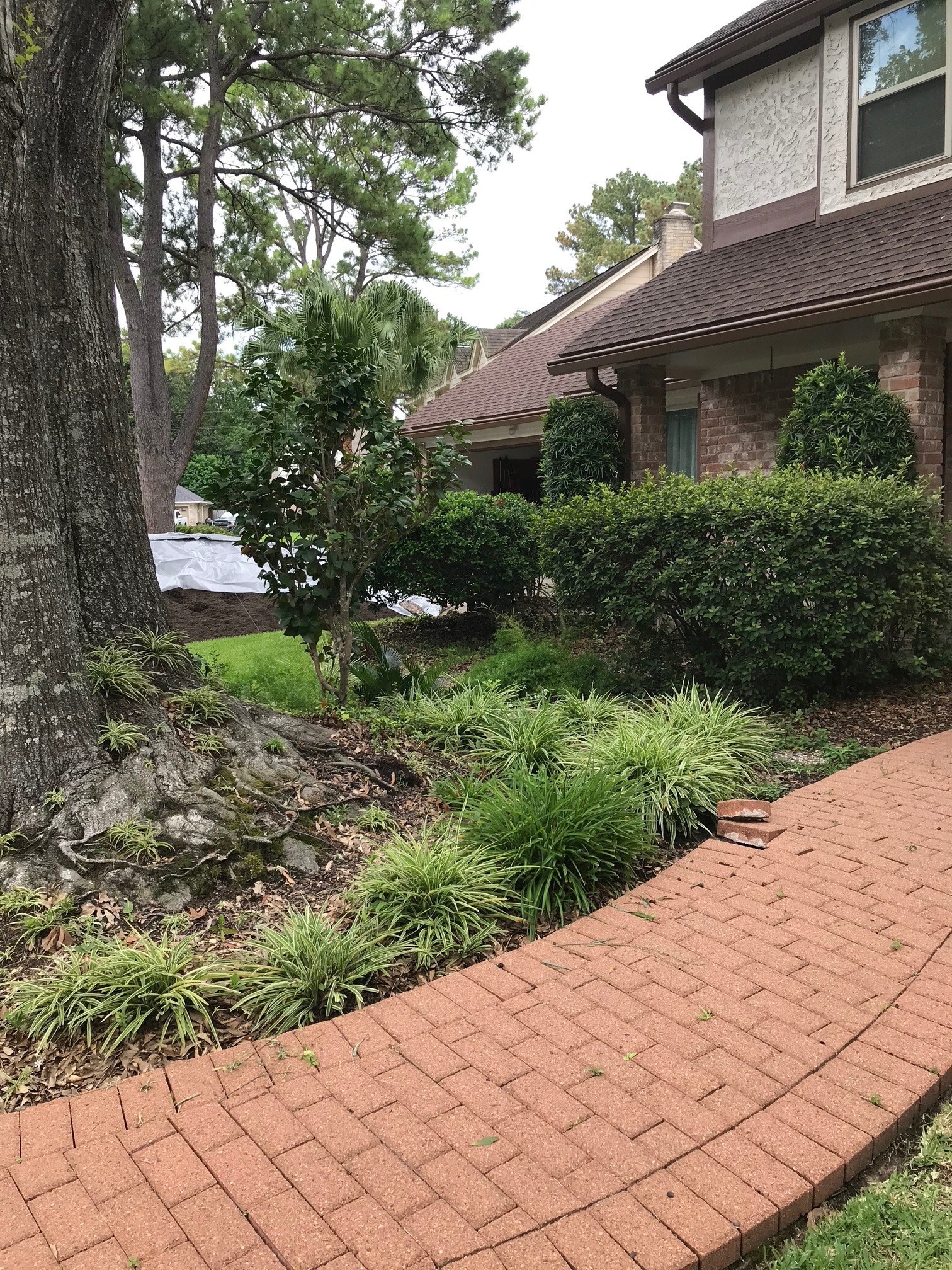 Front-Yard Planted Beds VII in Spring, TX