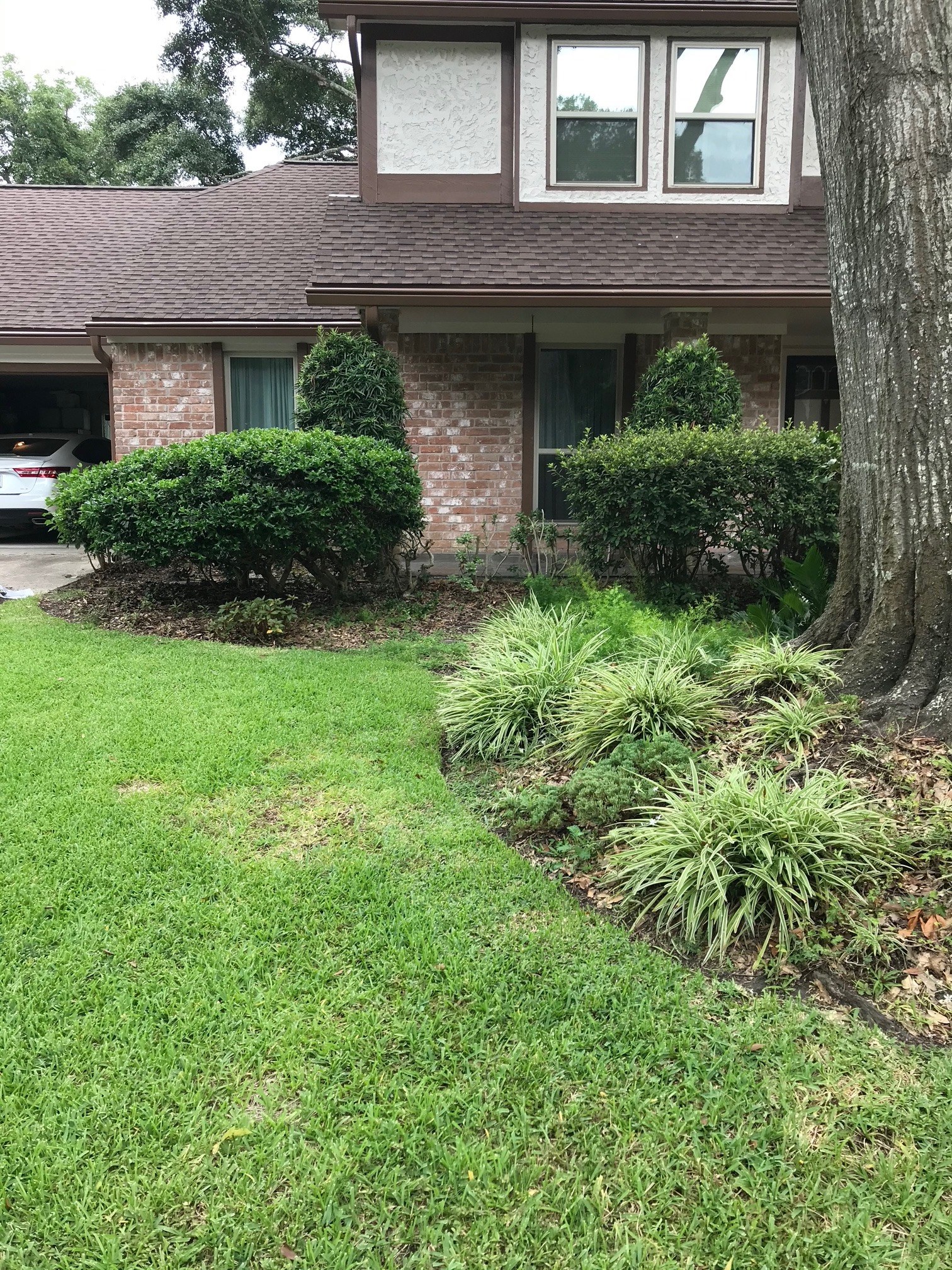 Front-Yard Planted Beds VIII in Spring, TX