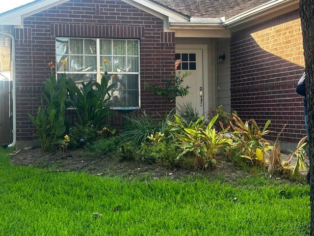 Planted Beds 39