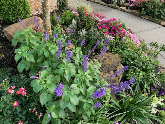 Planted Beds VII