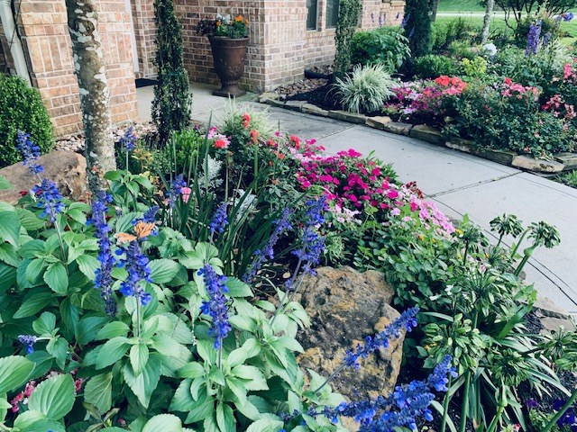 Planted Beds VIII