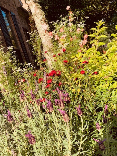 Planted Beds IX