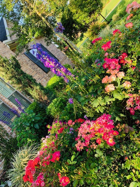 Planted Beds XI