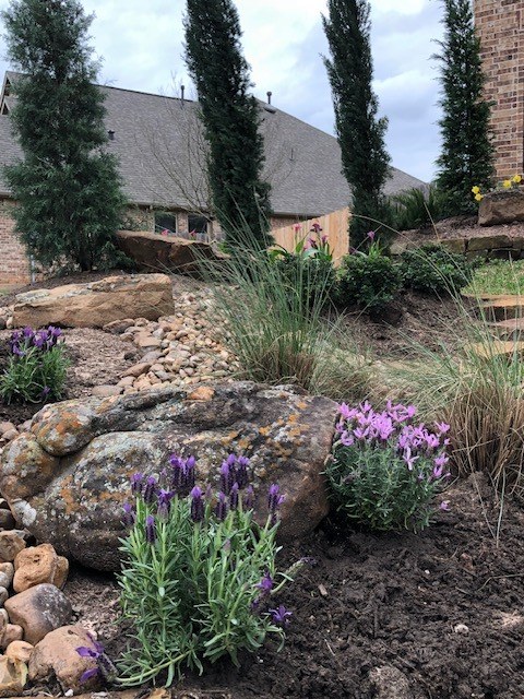 Planted Beds 14