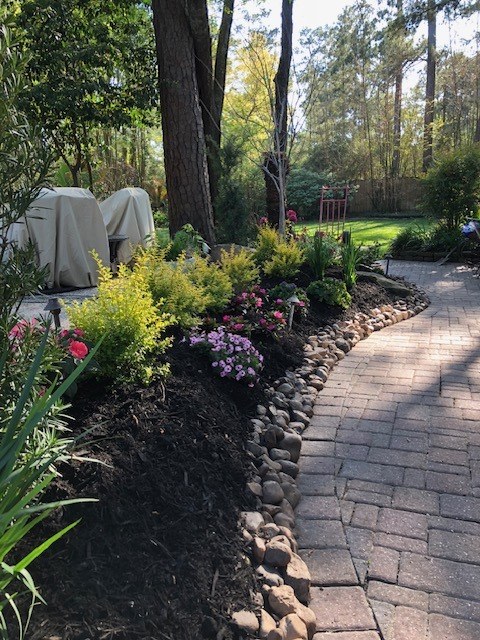 Planted Beds 18