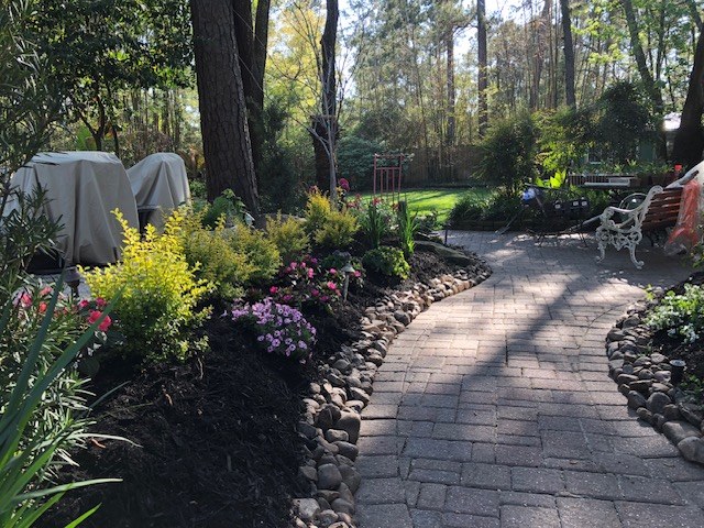 Planted Beds 19
