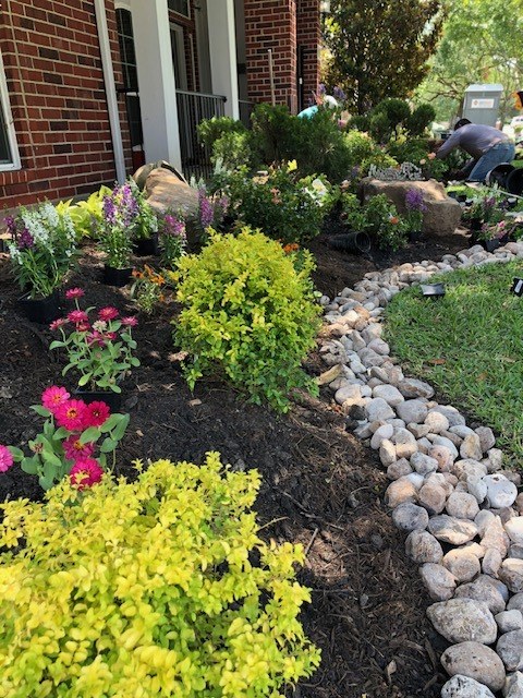 Planted Beds 24