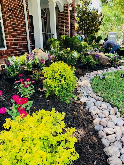 Planted Beds 25