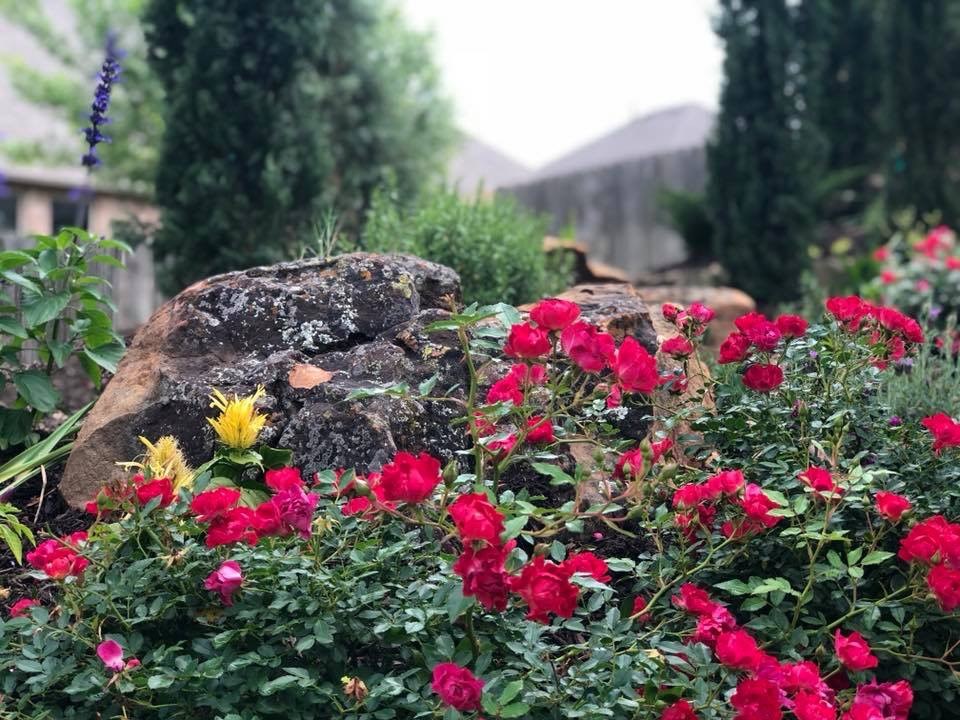 Planted Beds 26
