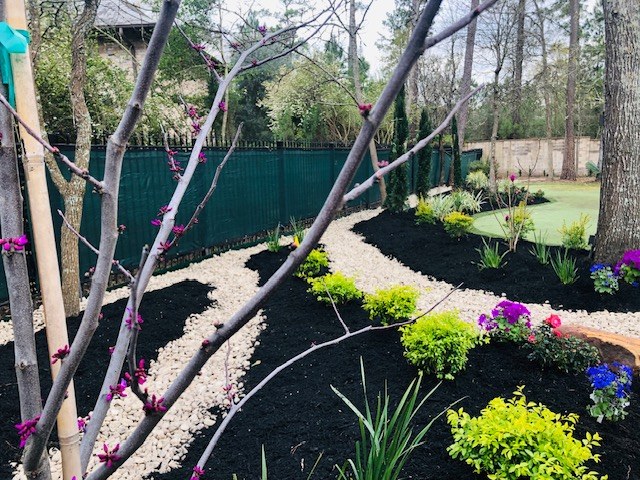 Planted Beds 37