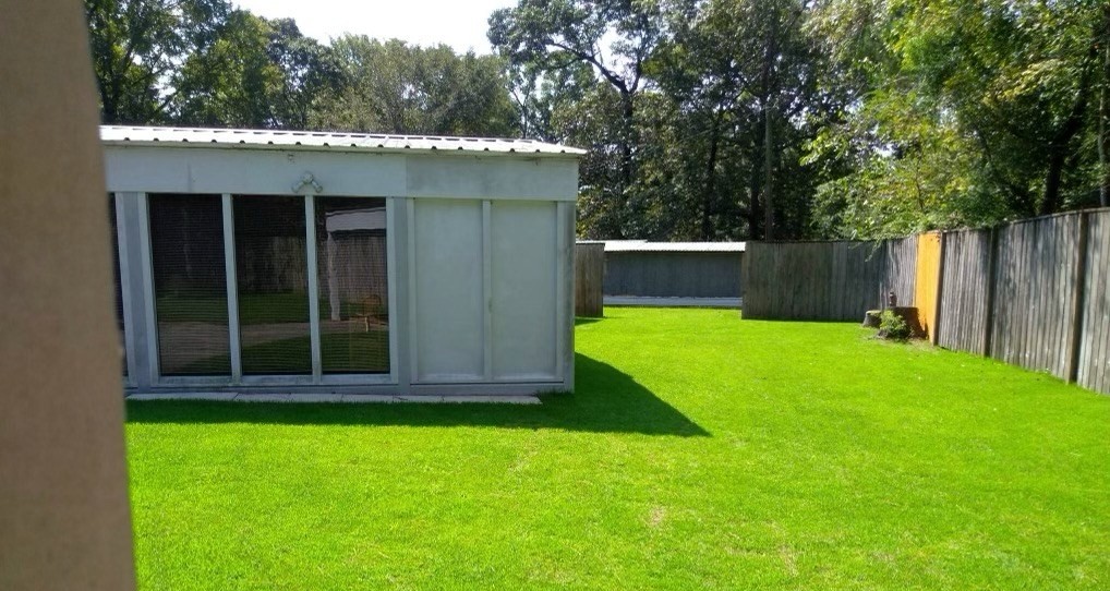Regrade and Zoysia lawn two months after installation in Magnolia, TX — after