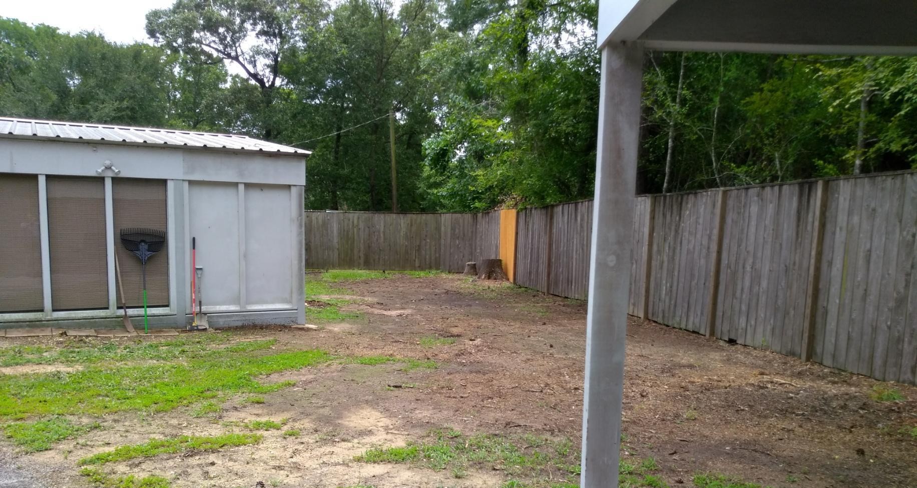 Regrade and Zoysia lawn two months after installation in Magnolia, TX — before