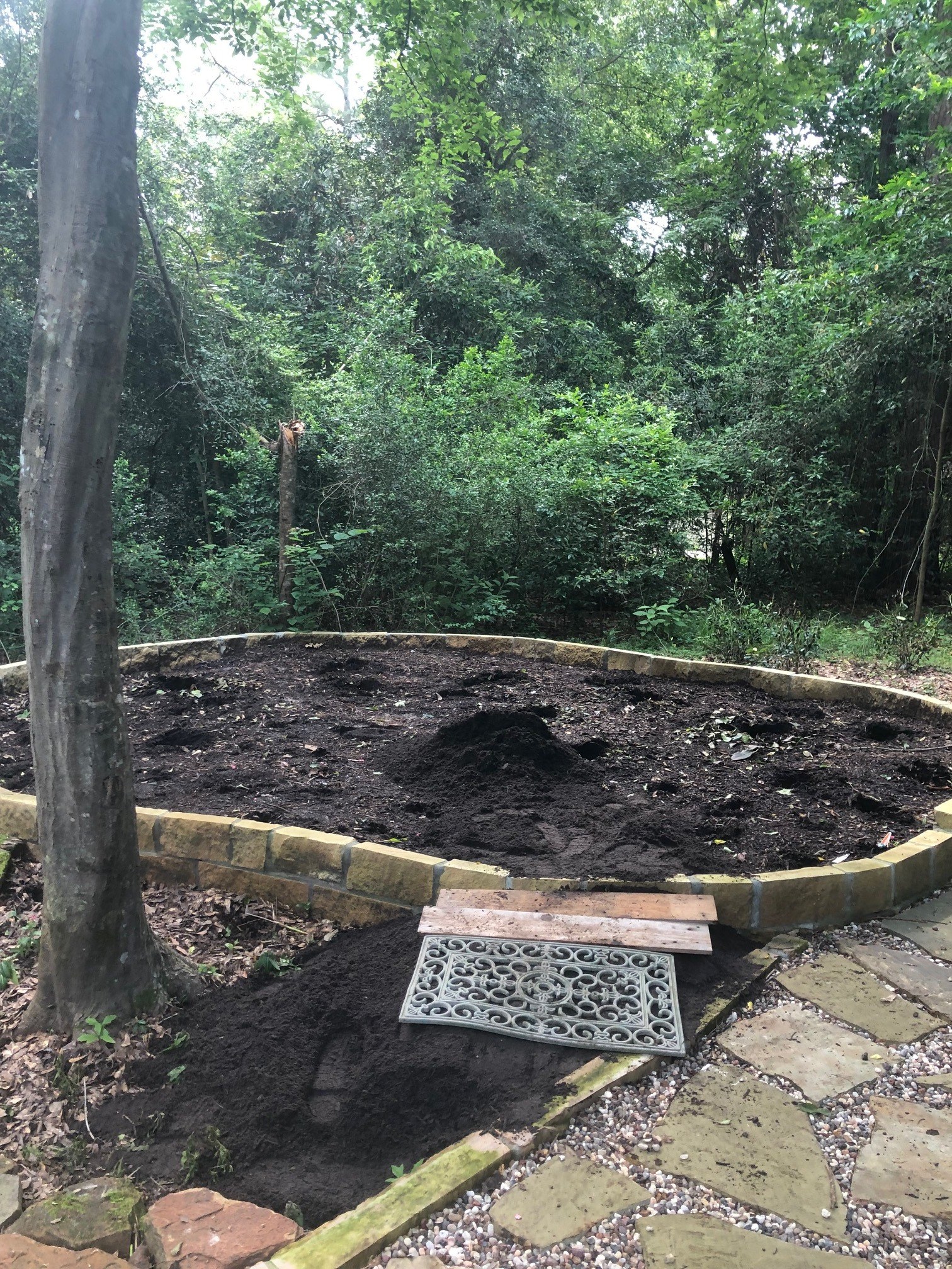 Woodland shade garden in Crighton Woods — before